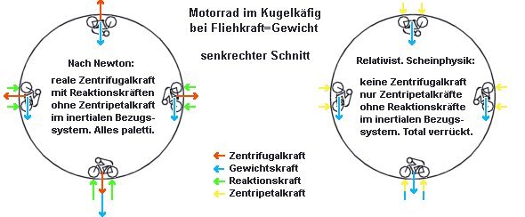 Kradkäfig01.jpg