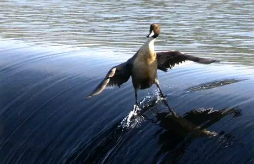Ccs_H0yW0AUBwj-.jpg