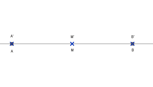 lg81.gif