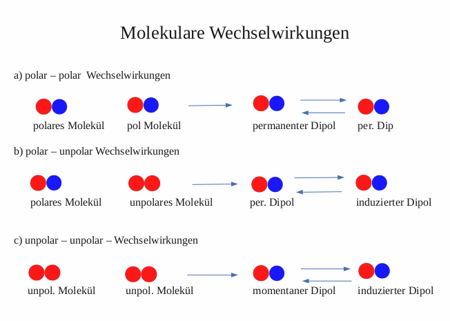 Molekulare Wechselwirkungen.png